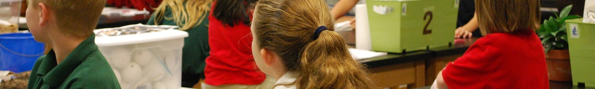 Psicopedagogía preventiva y terapéutica